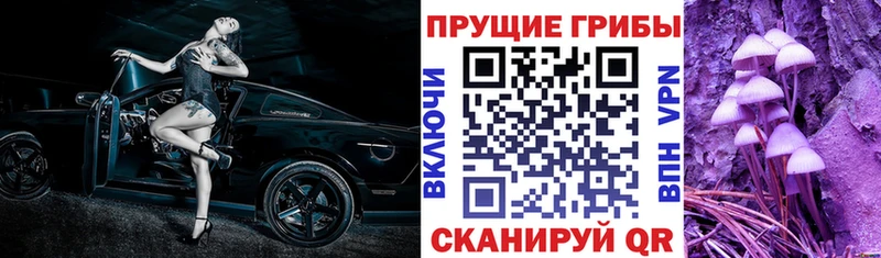наркошоп Усинск Галлюциногенные грибы Cubensis